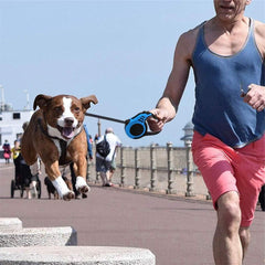500 cm Dog & Cat Strap Leash (Multicolor) – Strong, Stylish, and Built for Adventure!